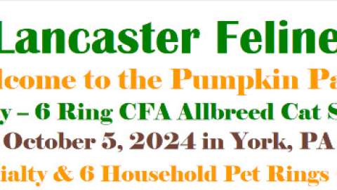 Cat Show - Greater Lancaster Feline Fanciers