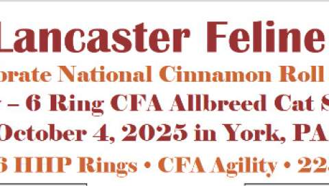 Cat Show - Greater Lancaster Feline Fanciers Cat Show - Greater Lancaster Feline Fanciers