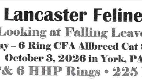 Cat Show - Greater Lancaster Feline Fanciers