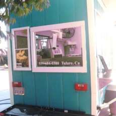 Watch the donuts being made through the back window