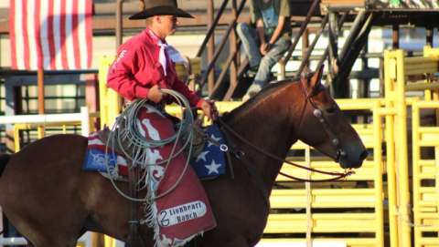 Bannock County Fair