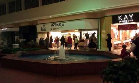 Lone Wolverine Exhibit Jan 3-28, 2014 Burton, MI