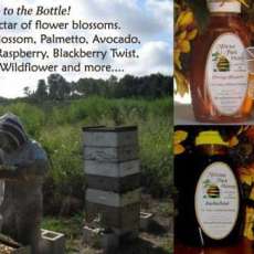 Winter Park Honey Apiary