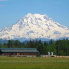 Mt. Rainier