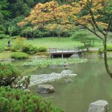 Japanese Garden
