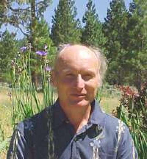 Andre Angermann Andre Angermann