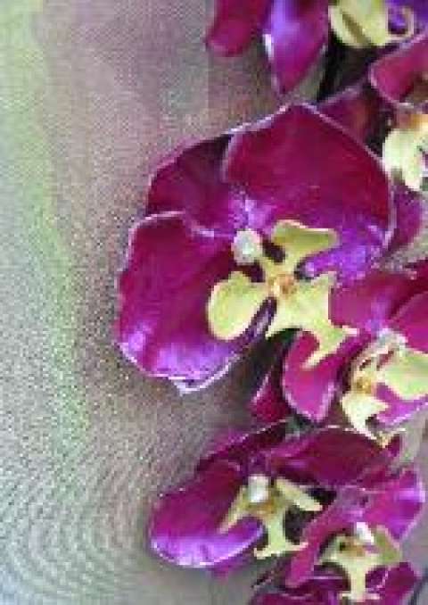 Charlene Maguire Charlene Maguire