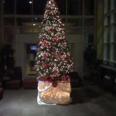 Custom Designed Christmas Tree