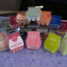 Scentsy Bars