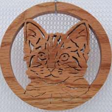 Kitten- wall plaque