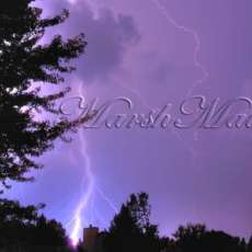 Multi-Forked Lightning Strike