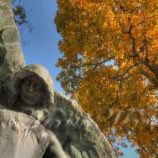 Black Angel and Orange Tree