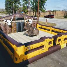 Mechanical Bull Ride in South Carolina