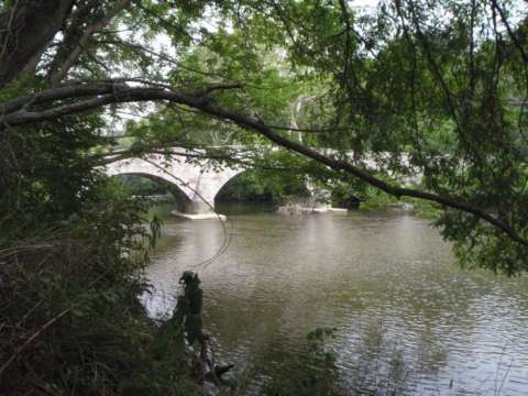 The Burnside Bridge