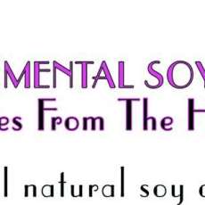 Scentimental Soy Co.