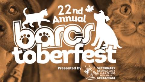 Barcstoberfest