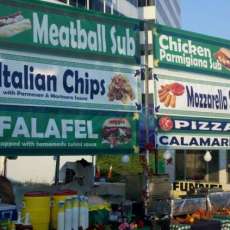 Grapevine setting up