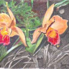 POTINARA...Hisako Akatsuka "Volcano Queen"