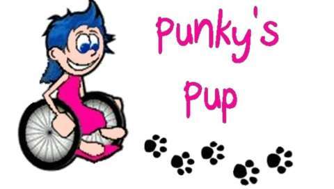 Punky's Pup