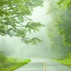 The Blue Ridge Parkway