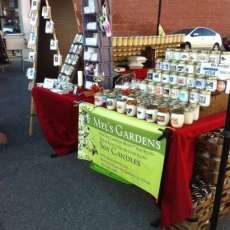 Soy Candles and Melts