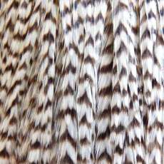 Grizzly Feather Hair Extensions