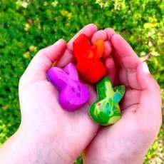 Rainbow Bunny Scribblers