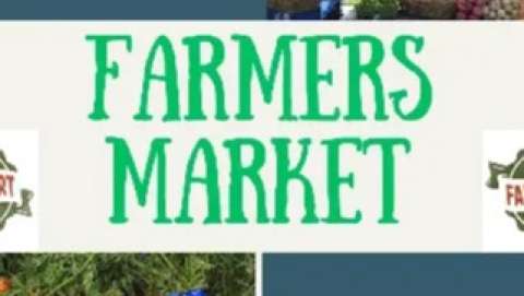 Farm and Art Market - Wednesday Summer