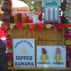 assorted flavor shaved ice also chocolate or cherry dipped bananas, strawberries and cheesecake on a stick fresh squeezed lemonade