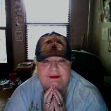 Deb wearing one of her hand painted hats.. a Yorkie