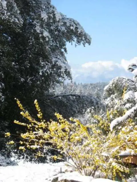 Maureen Comstock Maureen Comstock