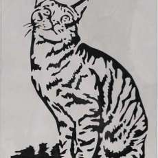 Calico Cat Staring Up