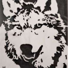 Wolf Head With Winter Coat