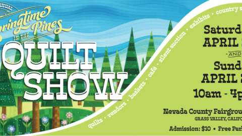 Springtime in the Pines Quilt Show