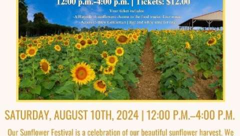 Trax Farm Market Sunflower Festival