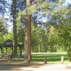 Mount Shasta City Park Vendor Area