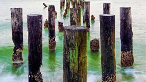 Naples Fine Art Show™