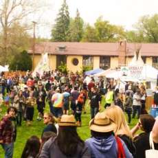Reno Earth Day 2016