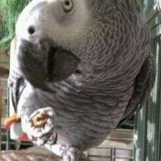 My Friend at Lehigh Valley Zoo Loves the blueberry treats