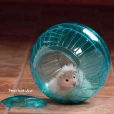 Real hamster ball