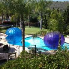 zorbing in the pool