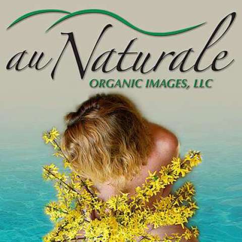 E Lee Wilson Jr E Lee Wilson Jr