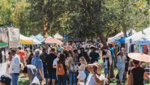 Sacramento Banana Festival