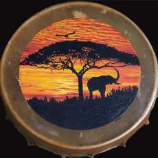 Elephant in African Sunset