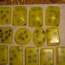 Eucalyptus and Chamomile with Chamomile Flowers