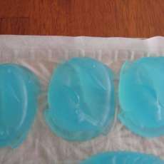 Eucalyptus and Mint Soap - Dolphins