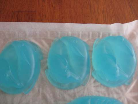 Eucalyptus and Mint Soap - Dolphins