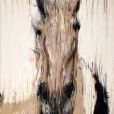Horse Head in Brown ©2013