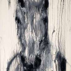 Horse Head Grey on White ©2013