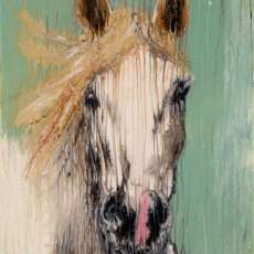 Blonde Horse ©2014